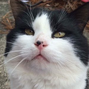 Meet your Posher, Eric